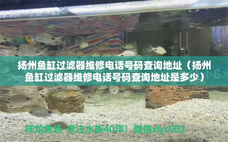 揚州魚缸過濾器維修電話號碼查詢地址（揚州魚缸過濾器維修電話號碼查詢地址是多少） 其他品牌魚缸