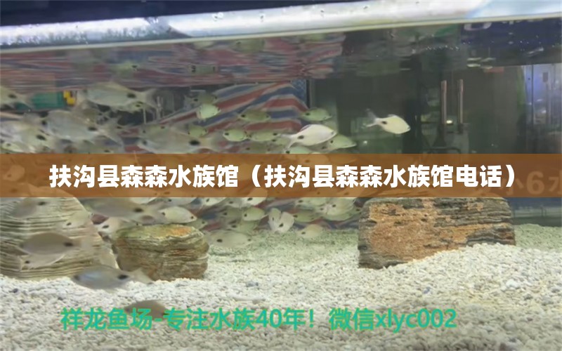 扶溝縣森森水族館（扶溝縣森森水族館電話）