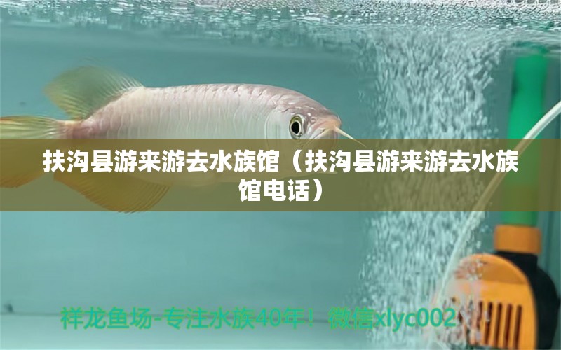 扶溝縣游來游去水族館（扶溝縣游來游去水族館電話）