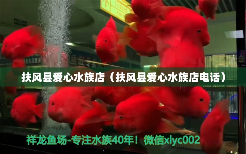 扶風縣愛心水族店（扶風縣愛心水族店電話） 全國水族館企業(yè)名錄