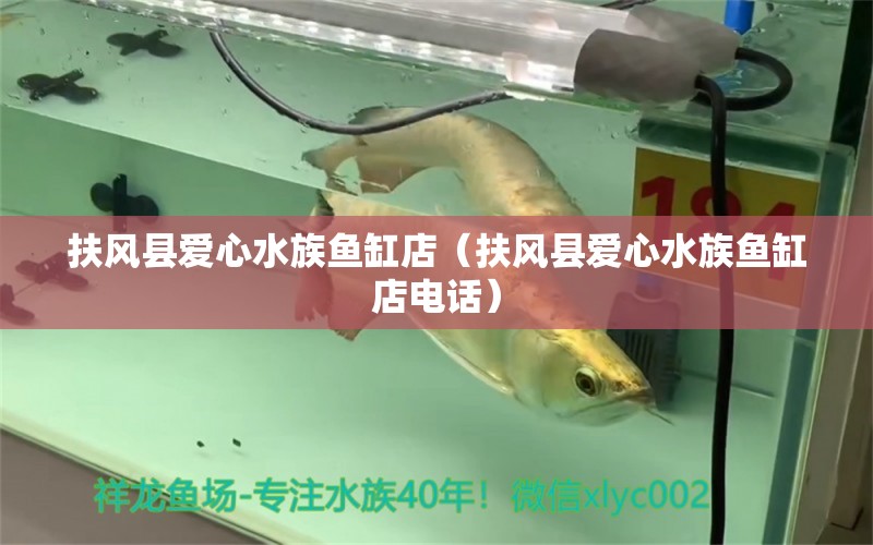 扶風(fēng)縣愛心水族魚缸店（扶風(fēng)縣愛心水族魚缸店電話）