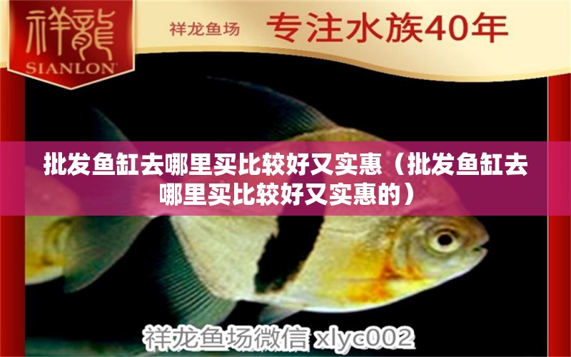 批發(fā)魚(yú)缸去哪里買(mǎi)比較好又實(shí)惠（批發(fā)魚(yú)缸去哪里買(mǎi)比較好又實(shí)惠的） 祥龍水族醫(yī)院