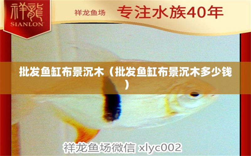 批發(fā)魚(yú)缸布景沉木（批發(fā)魚(yú)缸布景沉木多少錢(qián)） 沖氧泵