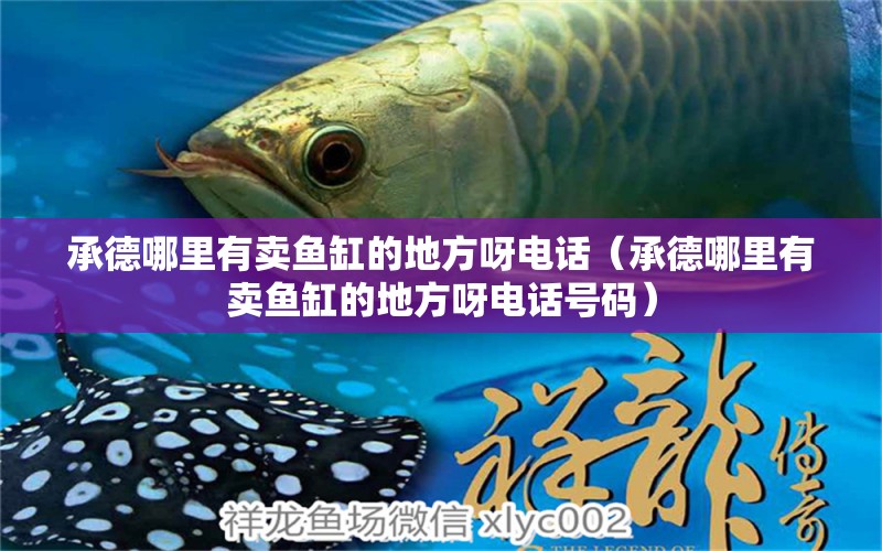 承德哪里有賣(mài)魚(yú)缸的地方呀電話（承德哪里有賣(mài)魚(yú)缸的地方呀電話號(hào)碼）