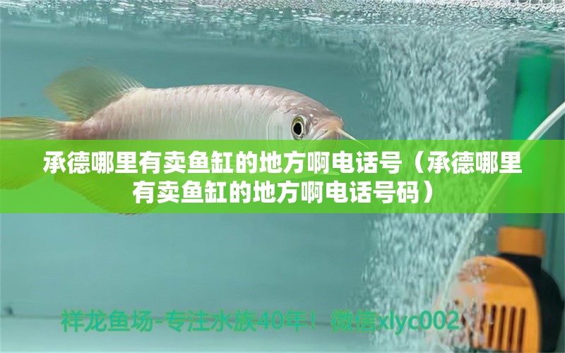 承德哪里有賣魚缸的地方啊電話號（承德哪里有賣魚缸的地方啊電話號碼） 觀賞魚市場（混養(yǎng)魚）