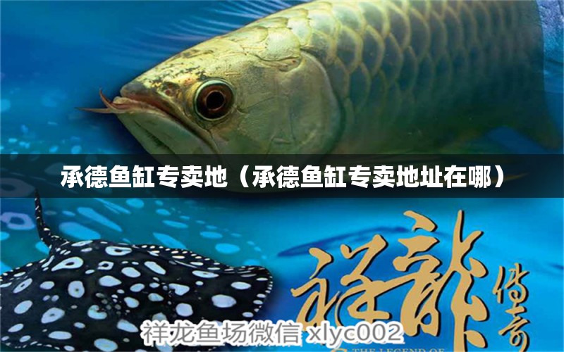 承德魚缸專賣地（承德魚缸專賣地址在哪）