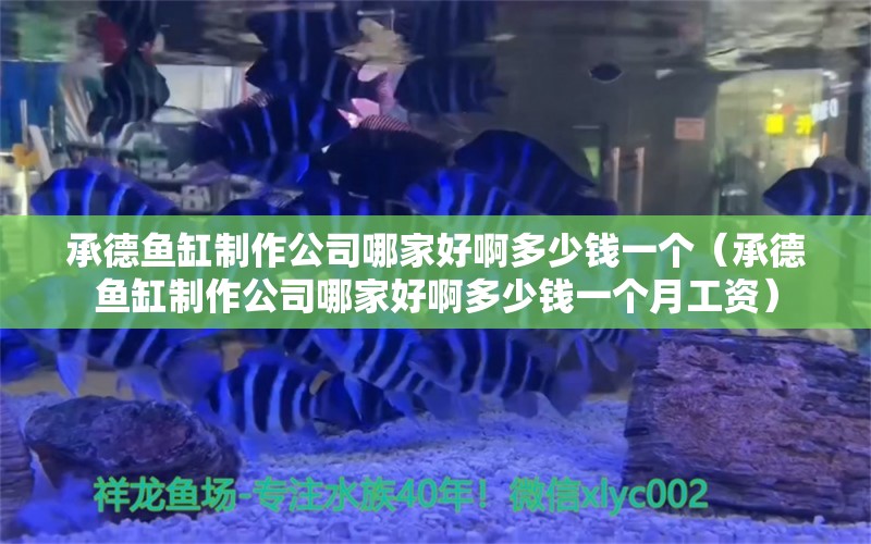 承德魚缸制作公司哪家好啊多少錢一個（承德魚缸制作公司哪家好啊多少錢一個月工資） 魚缸水質(zhì)穩(wěn)定劑