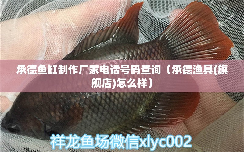 承德魚缸制作廠家電話號碼查詢（承德漁具(旗艦店)怎么樣）