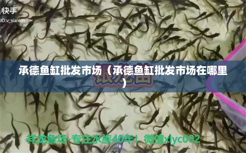 承德魚缸批發(fā)市場（承德魚缸批發(fā)市場在哪里）