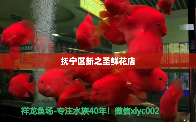 撫寧區(qū)新之圣鮮花店 全國水族館企業(yè)名錄