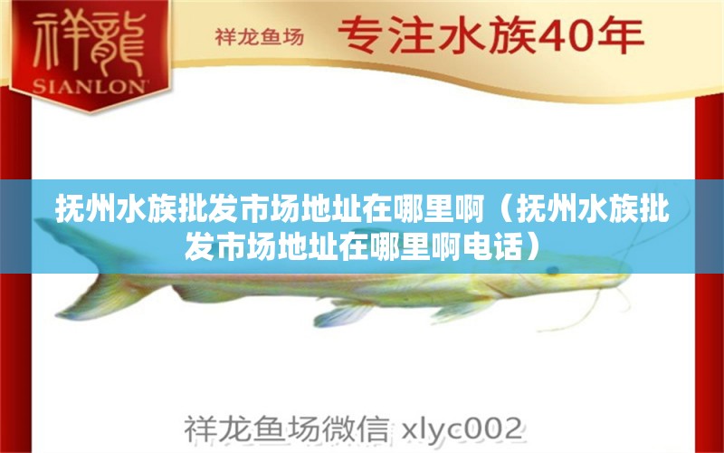 撫州水族批發(fā)市場地址在哪里?。〒嶂菟迮l(fā)市場地址在哪里啊電話）