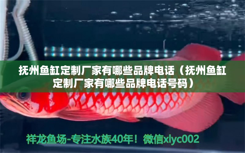 撫州魚缸定制廠家有哪些品牌電話（撫州魚缸定制廠家有哪些品牌電話號碼）