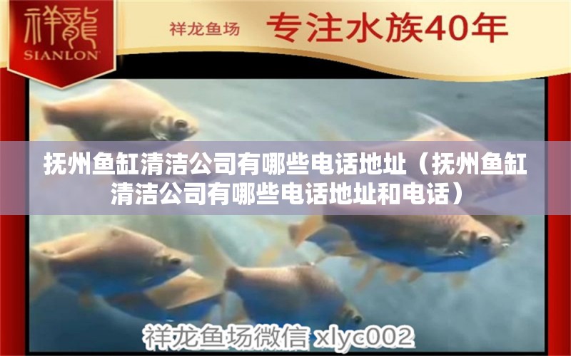 撫州魚(yú)缸清潔公司有哪些電話地址（撫州魚(yú)缸清潔公司有哪些電話地址和電話） 孵化器