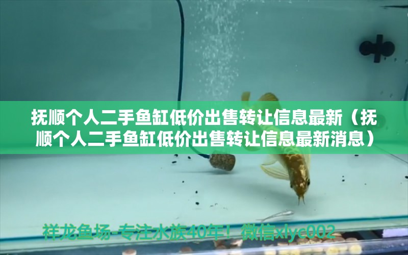 撫順個人二手魚缸低價出售轉(zhuǎn)讓信息最新（撫順個人二手魚缸低價出售轉(zhuǎn)讓信息最新消息）