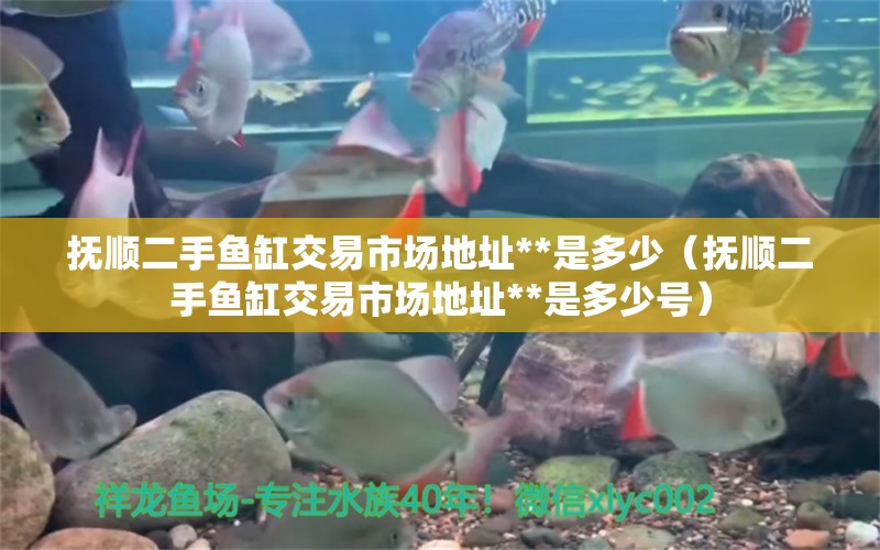 撫順二手魚缸交易市場(chǎng)地址**是多少（撫順二手魚缸交易市場(chǎng)地址**是多少號(hào)）