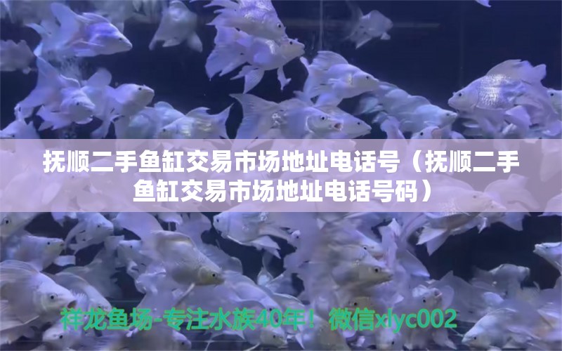 撫順二手魚缸交易市場地址電話號（撫順二手魚缸交易市場地址電話號碼）