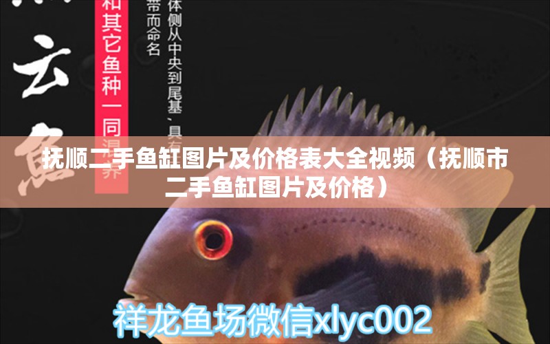 撫順二手魚(yú)缸圖片及價(jià)格表大全視頻（撫順市二手魚(yú)缸圖片及價(jià)格） 祥龍水族醫(yī)院