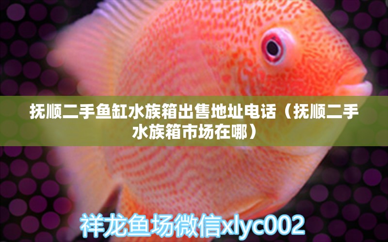 撫順二手魚缸水族箱出售地址電話（撫順二手水族箱市場在哪）