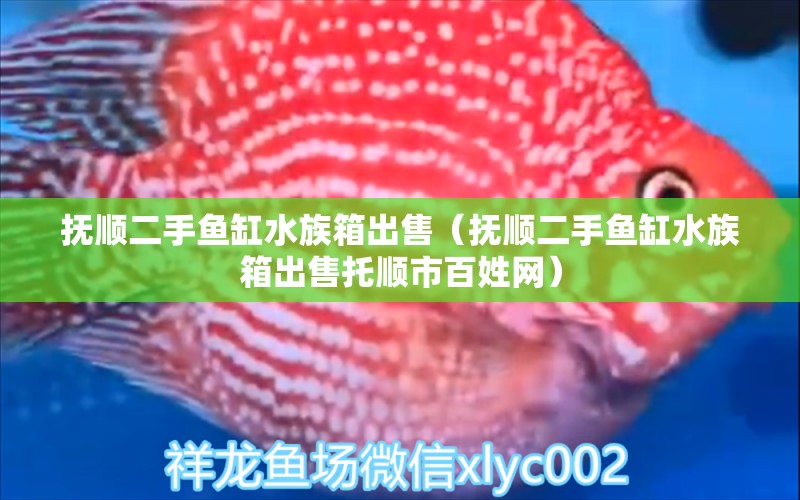 撫順二手魚缸水族箱出售（撫順二手魚缸水族箱出售托順市百姓網） 魚缸/水族箱