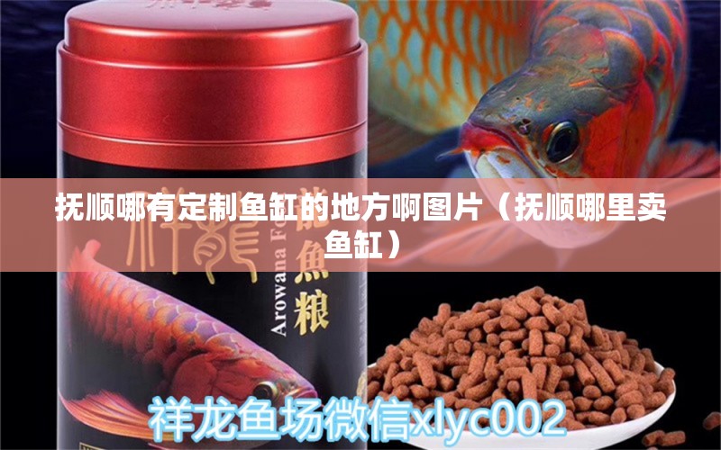 撫順哪有定制魚缸的地方啊圖片（撫順哪里賣魚缸）