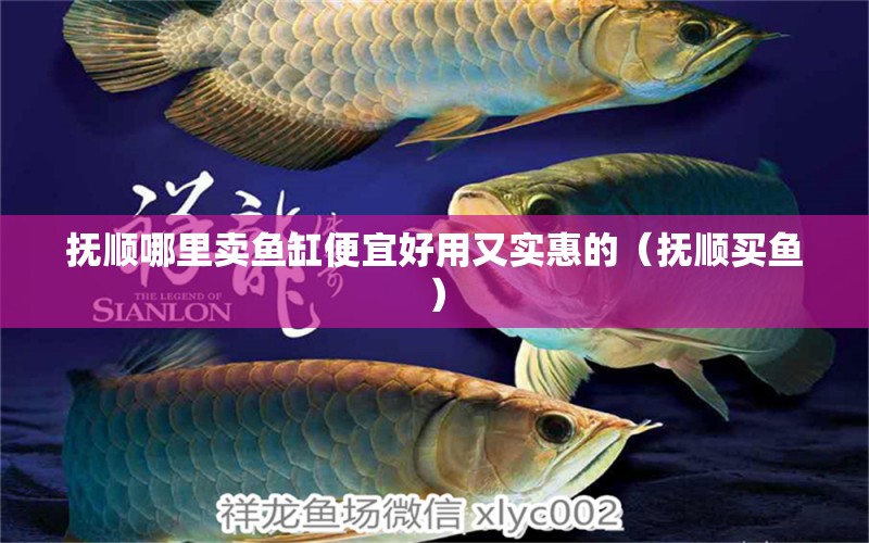 撫順哪里賣魚缸便宜好用又實惠的（撫順買魚） 白子關(guān)刀魚