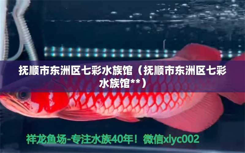 撫順市東洲區(qū)七彩水族館（撫順市東洲區(qū)七彩水族館**）