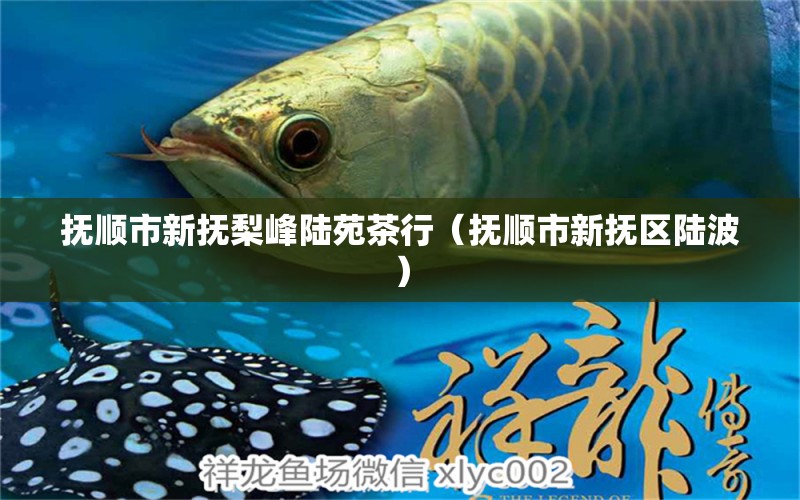 撫順市新撫梨峰陸苑茶行（撫順市新撫區(qū)陸波） 全國水族館企業(yè)名錄