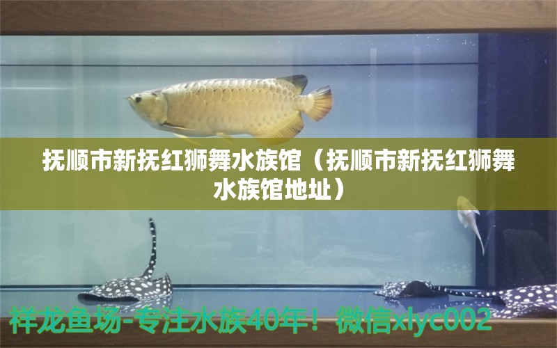 撫順市新?lián)峒t獅舞水族館（撫順市新?lián)峒t獅舞水族館地址）