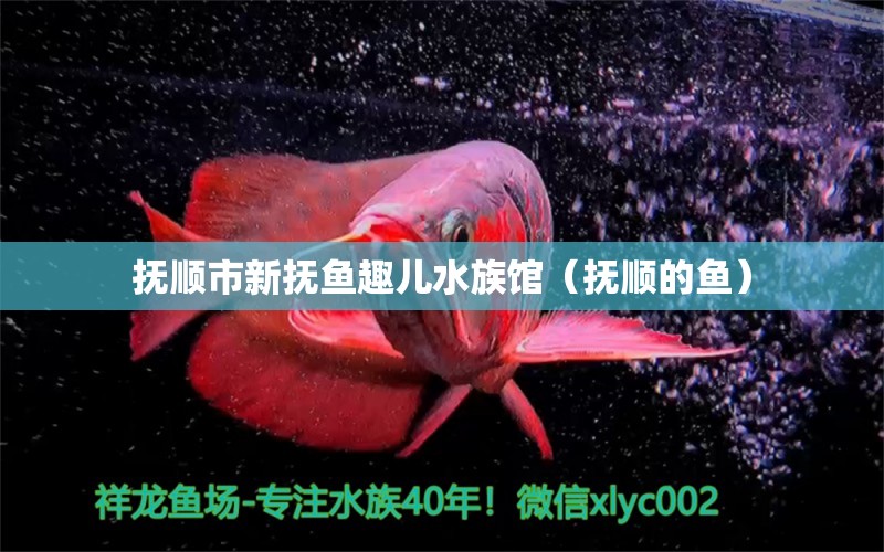 撫順市新?lián)狒~趣兒水族館（撫順的魚） 全國水族館企業(yè)名錄