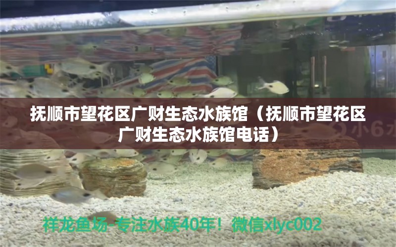 撫順市望花區(qū)廣財生態(tài)水族館（撫順市望花區(qū)廣財生態(tài)水族館電話） 全國水族館企業(yè)名錄