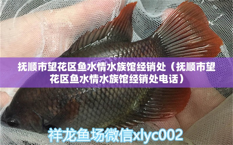 撫順市望花區(qū)魚水情水族館經(jīng)銷處（撫順市望花區(qū)魚水情水族館經(jīng)銷處電話）