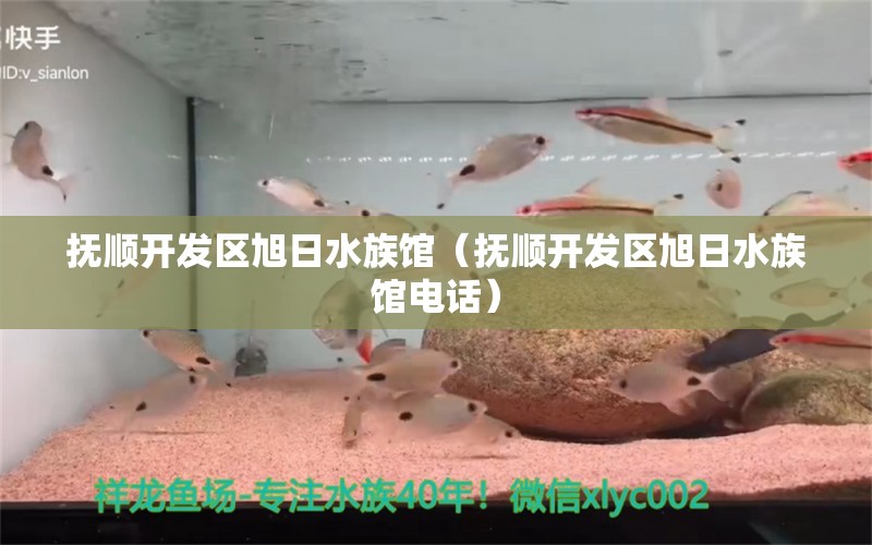 撫順開發(fā)區(qū)旭日水族館（撫順開發(fā)區(qū)旭日水族館電話） 全國水族館企業(yè)名錄