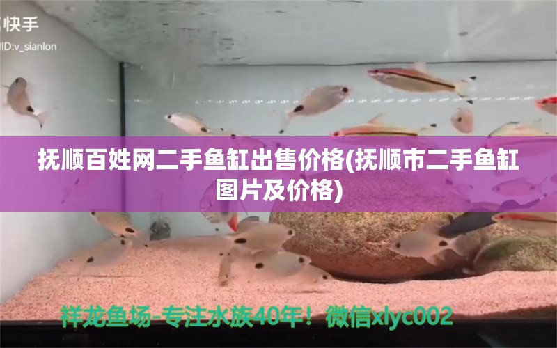 撫順百姓網(wǎng)二手魚缸出售價格(撫順市二手魚缸圖片及價格) 祥龍赫舞紅龍魚