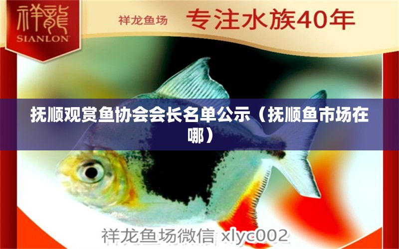 撫順觀賞魚協(xié)會會長名單公示（撫順魚市場在哪）