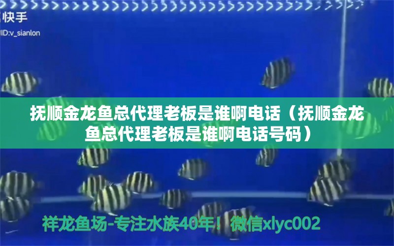 撫順金龍魚總代理老板是誰啊電話（撫順金龍魚總代理老板是誰啊電話號碼）