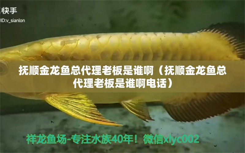 撫順金龍魚總代理老板是誰啊（撫順金龍魚總代理老板是誰啊電話） 二氧化碳設備