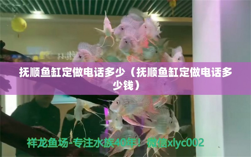 撫順魚缸定做電話多少（撫順魚缸定做電話多少錢） 祥龍水族醫(yī)院