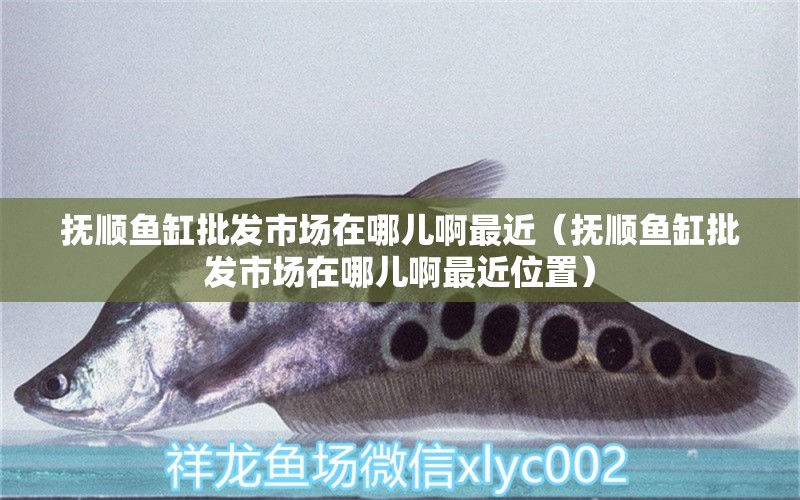 撫順魚缸批發(fā)市場在哪兒啊最近（撫順魚缸批發(fā)市場在哪兒啊最近位置）