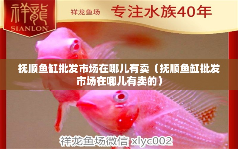 撫順魚缸批發(fā)市場在哪兒有賣（撫順魚缸批發(fā)市場在哪兒有賣的）