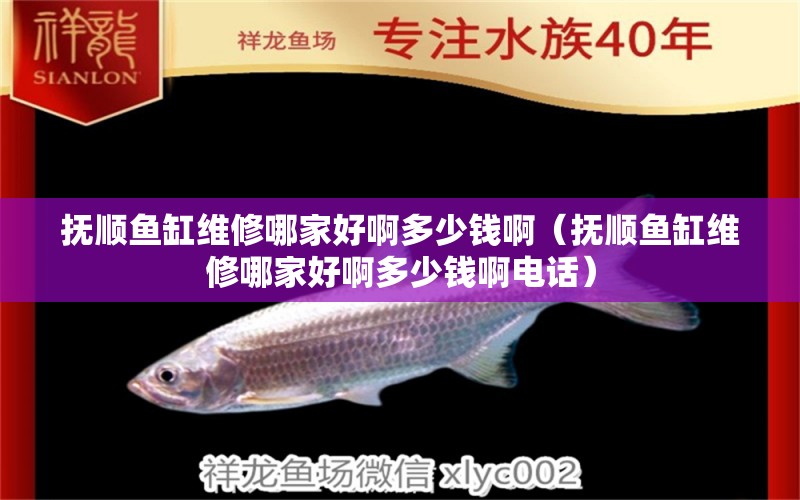 撫順魚缸維修哪家好啊多少錢?。〒犴橍~缸維修哪家好啊多少錢啊電話） 紅尾平克魚