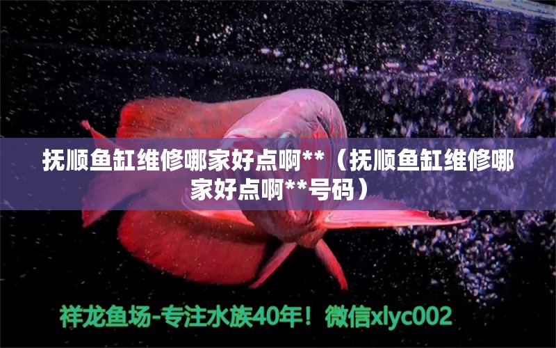 撫順魚缸維修哪家好點啊**（撫順魚缸維修哪家好點啊**號碼）