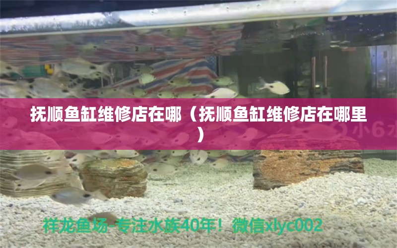 撫順魚缸維修店在哪（撫順魚缸維修店在哪里）