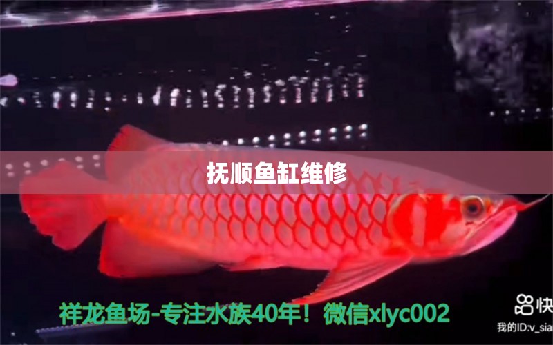 撫順魚缸維修