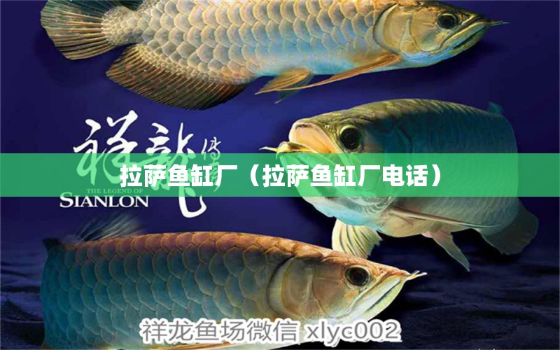 拉薩魚(yú)缸廠（拉薩魚(yú)缸廠電話） 其他品牌魚(yú)缸