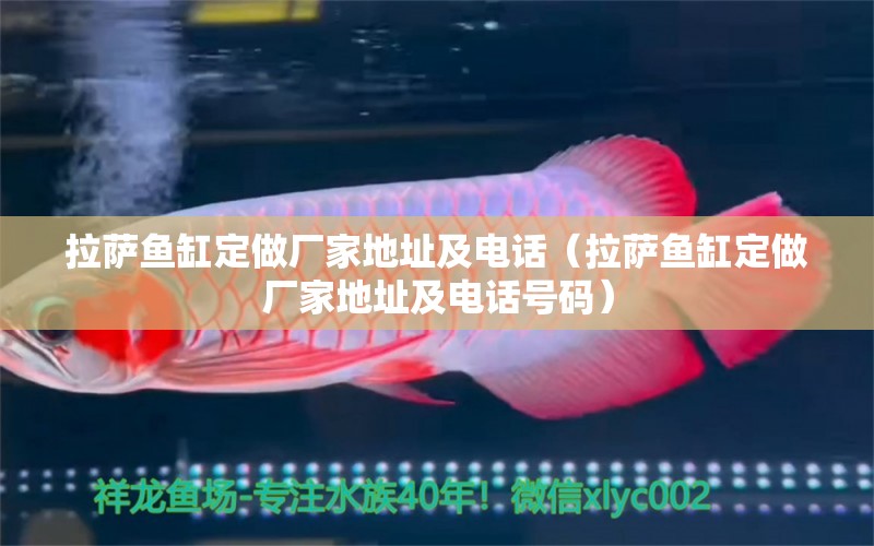 拉薩魚(yú)缸定做廠家地址及電話（拉薩魚(yú)缸定做廠家地址及電話號(hào)碼）