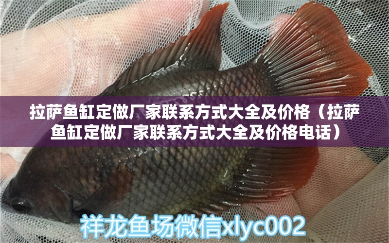 拉薩魚(yú)缸定做廠家聯(lián)系方式大全及價(jià)格（拉薩魚(yú)缸定做廠家聯(lián)系方式大全及價(jià)格電話）