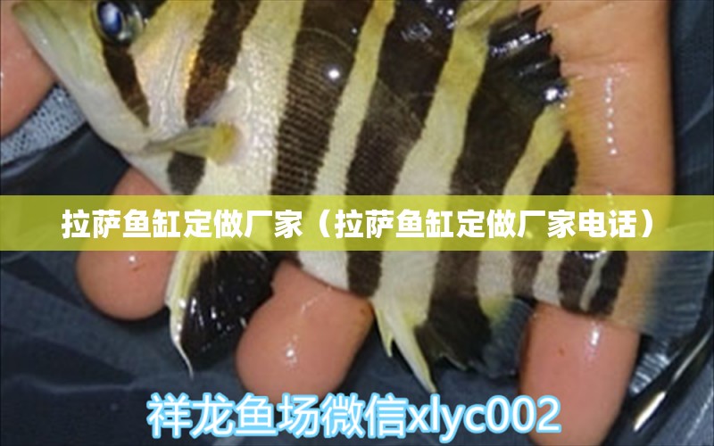 拉薩魚(yú)缸定做廠家（拉薩魚(yú)缸定做廠家電話）