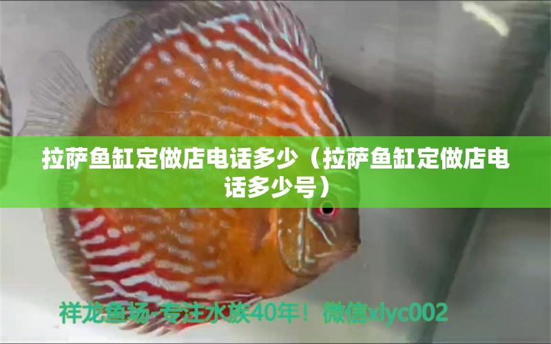 拉薩魚缸定做店電話多少（拉薩魚缸定做店電話多少號） 觀賞魚市場（混養(yǎng)魚）