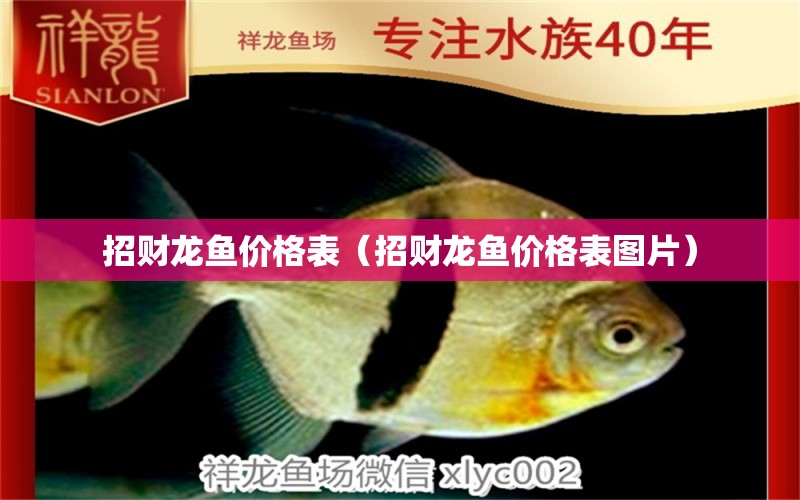 招財(cái)龍魚價(jià)格表（招財(cái)龍魚價(jià)格表圖片）