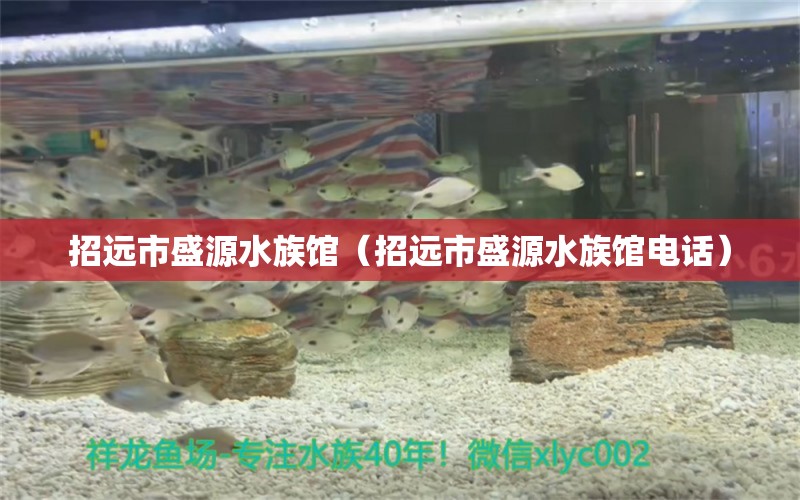 招遠市盛源水族館（招遠市盛源水族館電話）